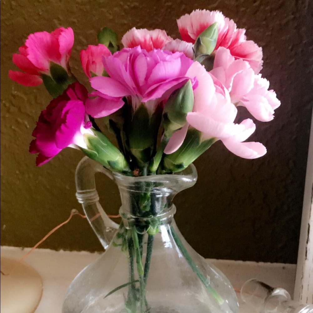 Meet your Posher, Zayna